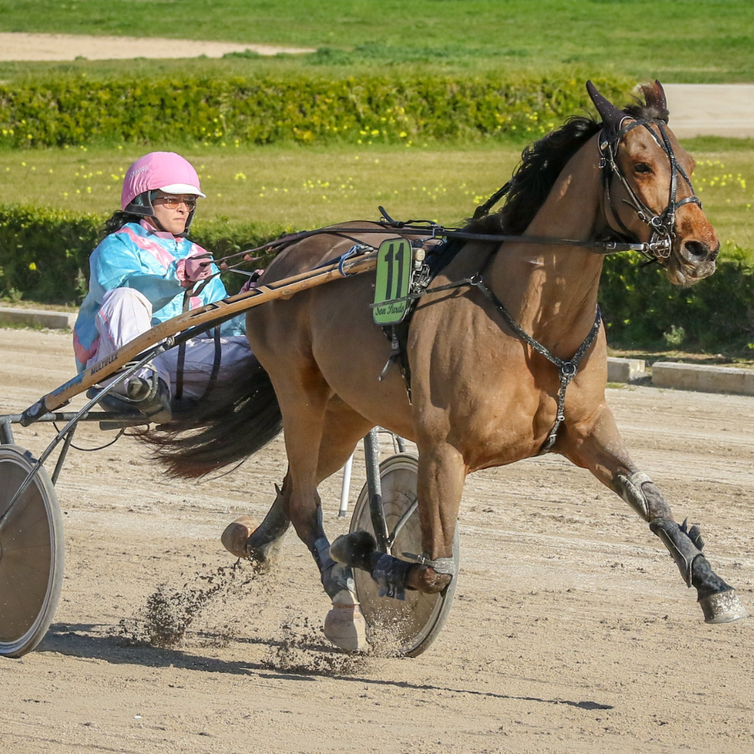 Trav & moms – Skatteverket fortsätter att neka momslyft